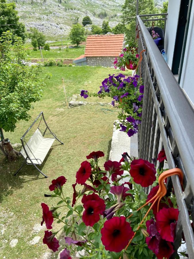 Guest House Markovic Lovcen Cetinje Exteriér fotografie
